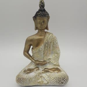 Bouddha doré (FD190363)